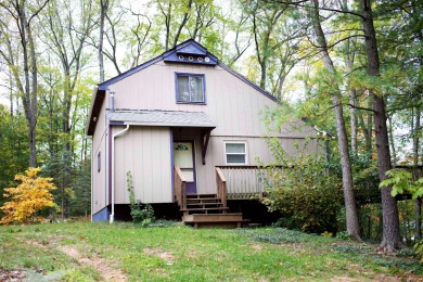 Lake Home For Sale in Bitely, Michigan