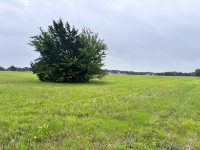 Lot 392 Polaris Drive - photo 9