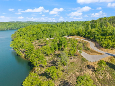 LAKE FRONT BUILDING LOT WITH PRIVATE DOCK & HOUSE SEAT - photo 24