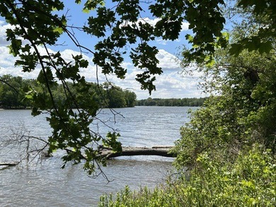 Breathtaking riverfront home located on wooded 2 acre parcel - photo 3