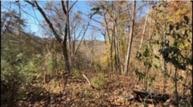 Level 2 acre Lot at Norris lake!! - Lake Acreage For Sale in Jacksboro, Tennessee