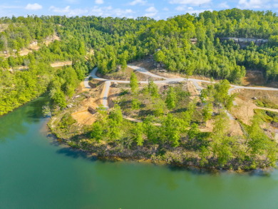 LAKE FRONT BUILDING LOT WITH PRIVATE DOCK & HOUSE SEAT - photo 7
