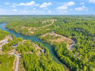 LAKE FRONT BUILDING LOT WITH PRIVATE DOCK & HOUSE SEAT - photo 10