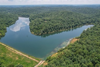 Clearwater Lake Acreage For Sale in Piedmont Missouri