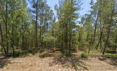 These Multi Family / Duplex properties are highly desirable and - photo 1
