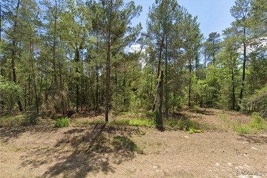 These Multi Family / Duplex properties are highly desirable and - photo 2
