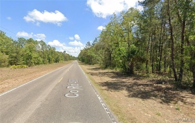 These Multi Family / Duplex properties are highly desirable and - photo 4