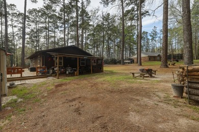 The Ultimate Holly Lake Retreat: Modern Updates & Resort Living - photo 19