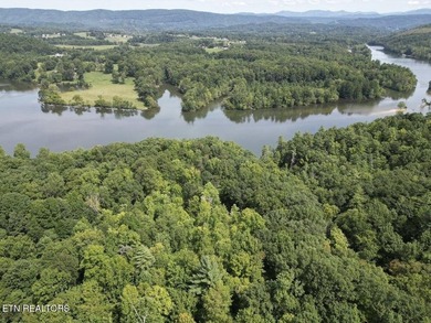 Beautiful secluded wooded 25 acre tract of land near Emory River - photo 2