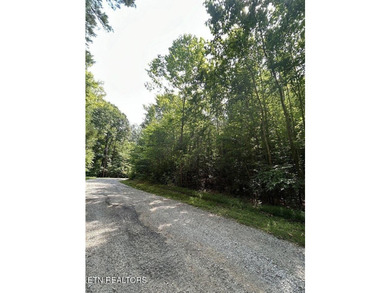 Beautiful secluded wooded 25 acre tract of land near Emory River - photo 5