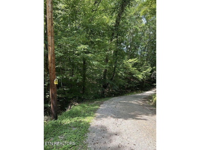 Beautiful secluded wooded 25 acre tract of land near Emory River - photo 6