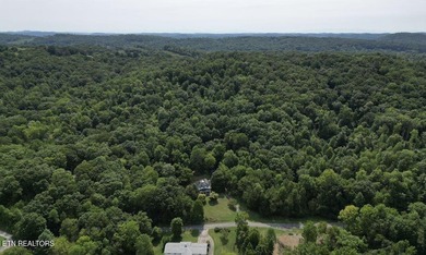 Beautiful secluded wooded 25 acre tract of land near Emory River - photo 7