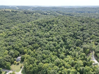 Beautiful secluded wooded 25 acre tract of land near Emory River - photo 8