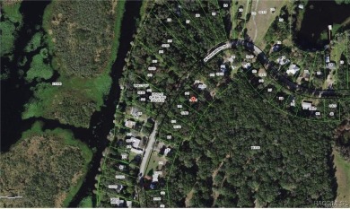 Lake Rousseau Lot For Sale in Dunnellon Florida