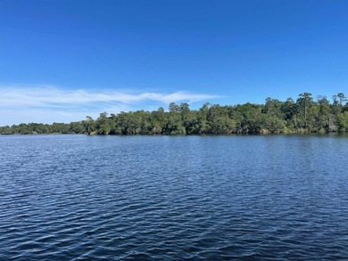 FABULOUS OPPORTUNITY TO LIVE IN A WATERFRONT COMMUNITY! Welcome - photo 38