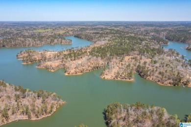 Lewis Smith Lake Lot For Sale in Houston Alabama