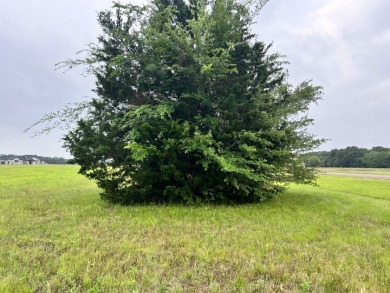 Lot 392 Polaris Drive - photo 11