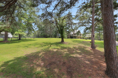 Sunroom Views & Space to Roam - photo 37