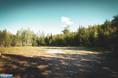 Lake Acreage For Sale in Cook, Minnesota