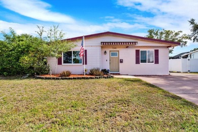 (private lake, pond, creek) Home For Sale in St. Petersburg Florida