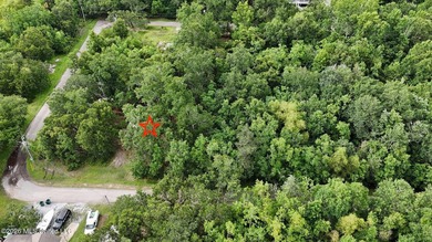 Build your dream home on this beautiful .28-acre lot located off - photo 1