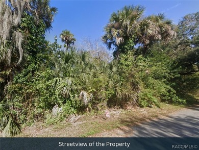 Build your dream home or investment property on this 0.22-acre - photo 11