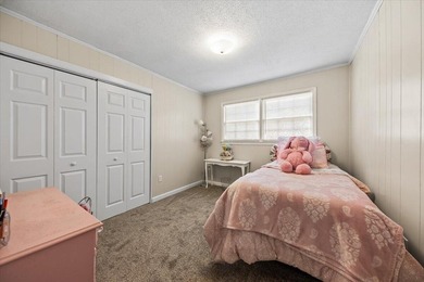Must-See 3 Bedroom, 2 Bath Home is close to Interstate 26 - photo 12