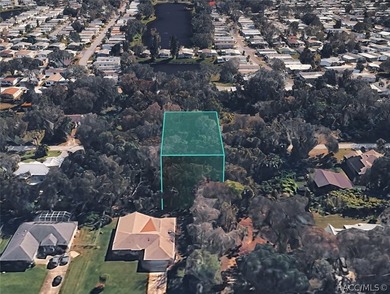 Build your dream home or investment property on this 0.22-acre - photo 27