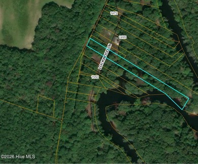(private lake, pond, coastal) Lot For Sale in Garland North Carolina