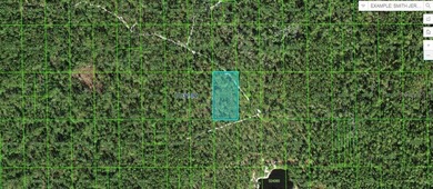 Lake Wales  Lot For Sale in Lake Wales Florida