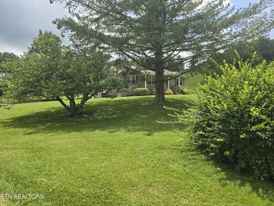 This adorable, fully updated 3 bedroom, 2 full bath home sits on - photo 4