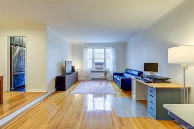 FOREST HILLS SOUTH Very sunny & spacious, 1 Bedroom / 1 Bathroom - photo 6