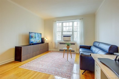 FOREST HILLS SOUTH Very sunny & spacious, 1 Bedroom / 1 Bathroom - photo 9