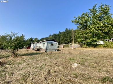 Lake Home For Sale in Lorane, Oregon
