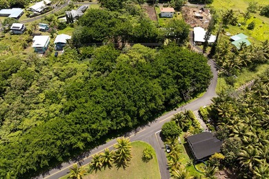 Rare opportunity to own a collection of eight lots near the - photo 14