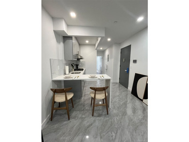 The brand-new luxury condo building in Borough Park features an - photo 14