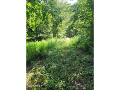Lake Acreage For Sale in Becket, Massachusetts