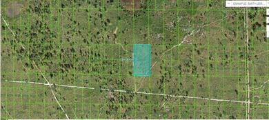 Lake Kissimmee Lot For Sale in Lake Wales Florida