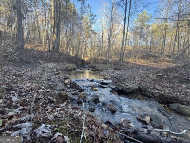 Lake Acreage For Sale in Talking Rock, Georgia