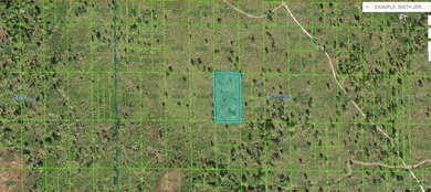 Lake Wales  Lot For Sale in Lake Wales Florida