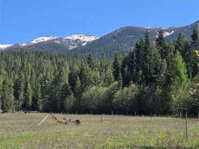 Clark Fork River Acreage For Sale in Heron Montana