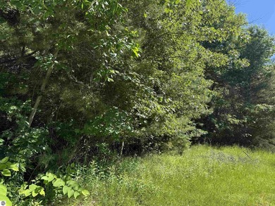 Five wooded lots, over 1/2 of the block, about .94 of an acre - photo 10