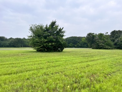 Lot 392 Polaris Drive - photo 19
