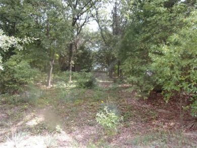 Lake Lot For Sale in Murchison, Texas