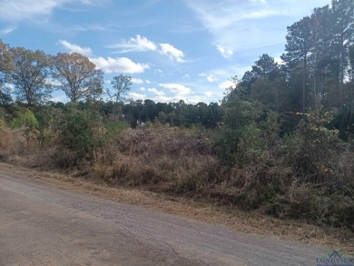 Lake Acreage For Sale in Ore City, Texas