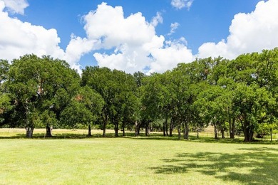 This exceptional turnkey ranch combines privacy, recreation, and - photo 46