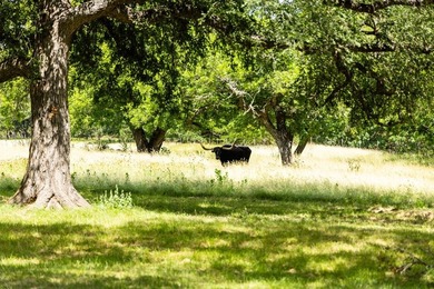 This exceptional turnkey ranch combines privacy, recreation, and - photo 47