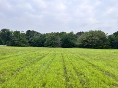 Lot 392 Polaris Drive - photo 20