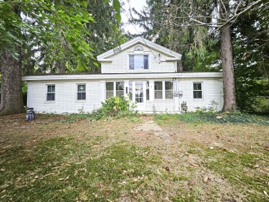 Lake Home For Sale in Litchfield, Michigan