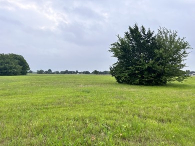 Lot 392 Polaris Drive - photo 8